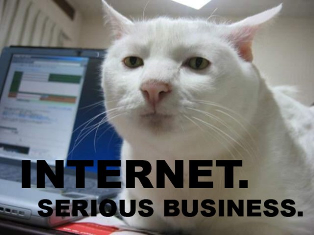 Internet. Serious Business Cat