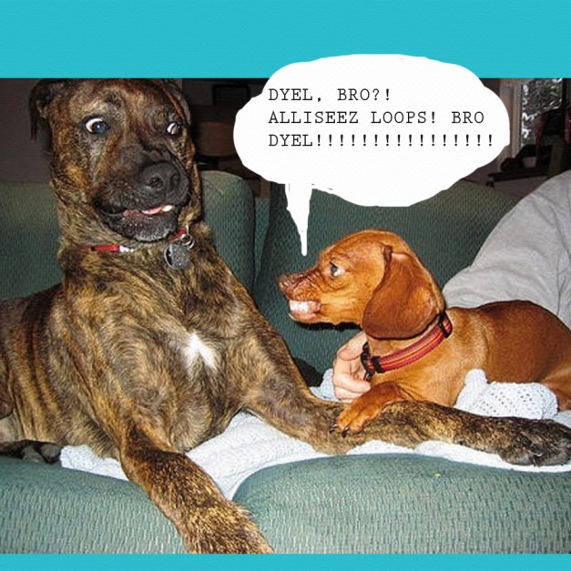 DYEL! Do You Even Live Bro!? AlliSeez Is Looopz!