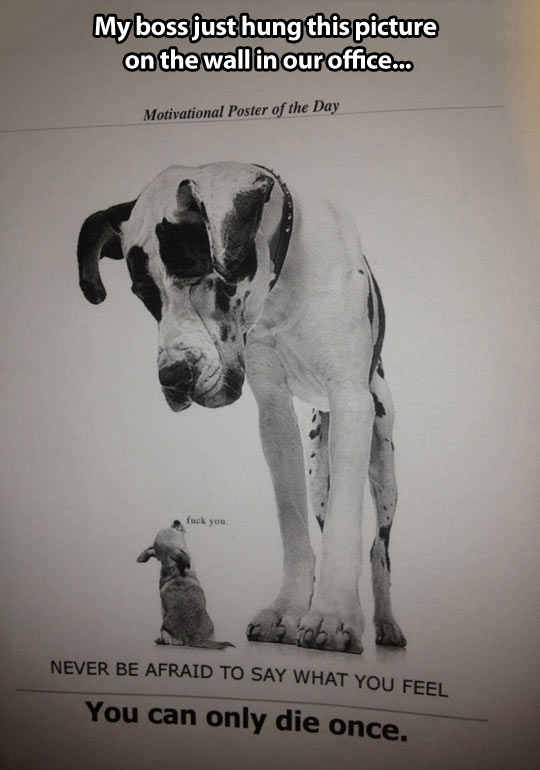 You can only die once