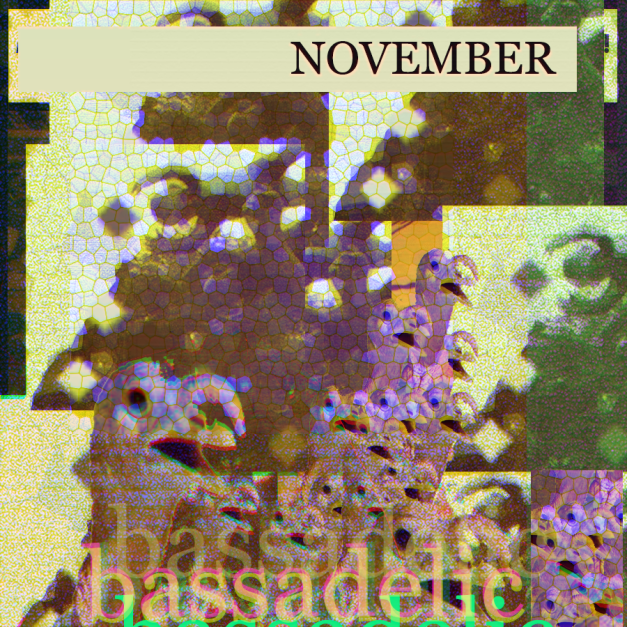 Its november at Bassadelic.com. Get weird, make some interesting music