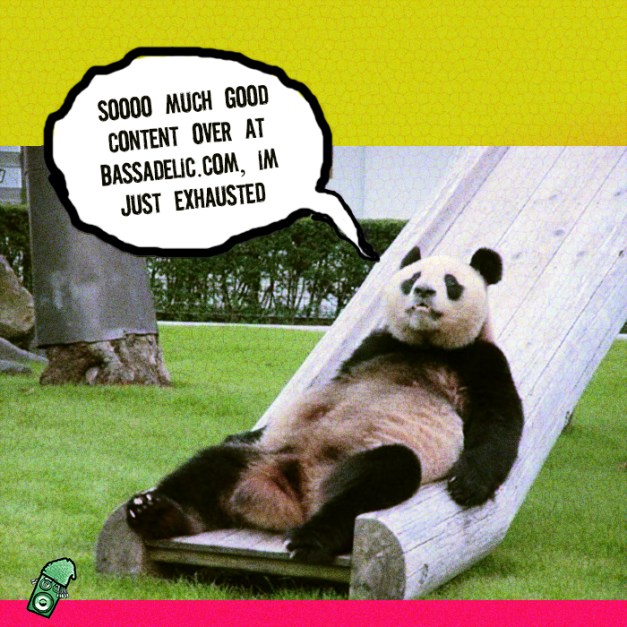 exhausted  panda on slide talkin bout bassadelic dot com